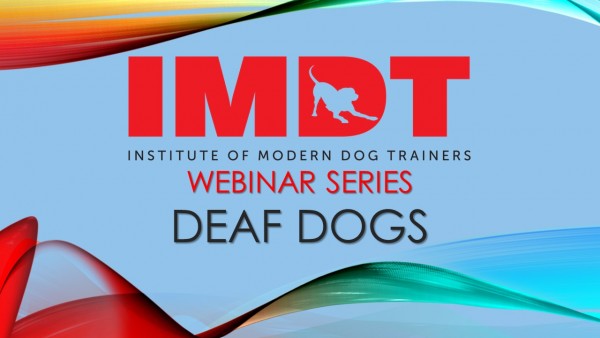 Training Deaf Dogs