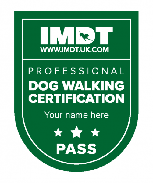 Professional Dog Walking Certification