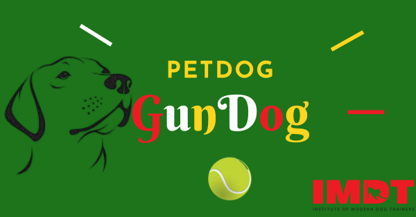 PETdog Gundog - Three Part Series