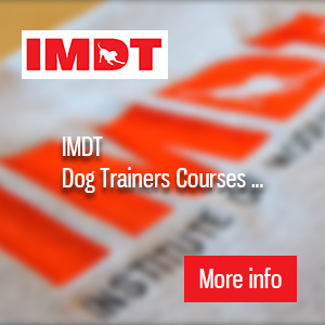 IMDT Courses