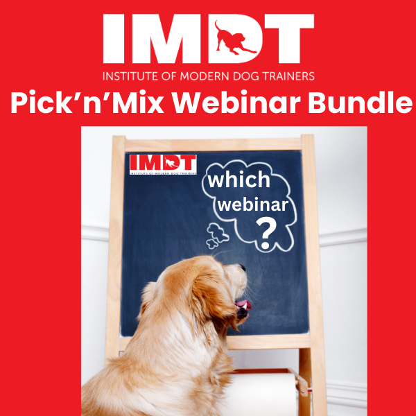 Webinar Pick n Mix Bundle