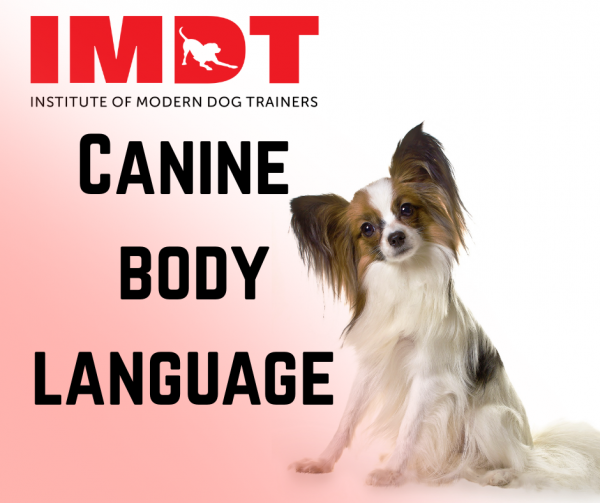 1 Day Canine Body Language