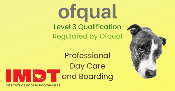 Ofqual Regulated Level 3 Professional Day Care and Boarding