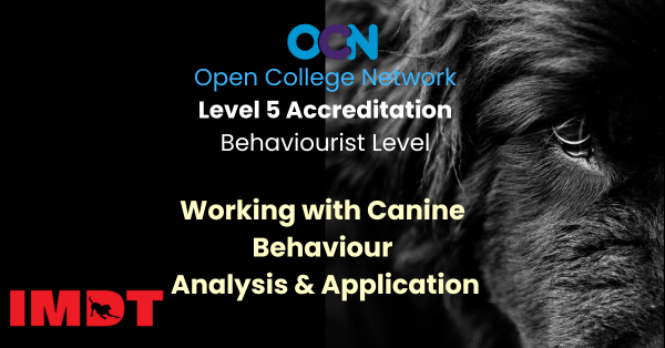 LEVEL FIVE 12 months Analysis And Application