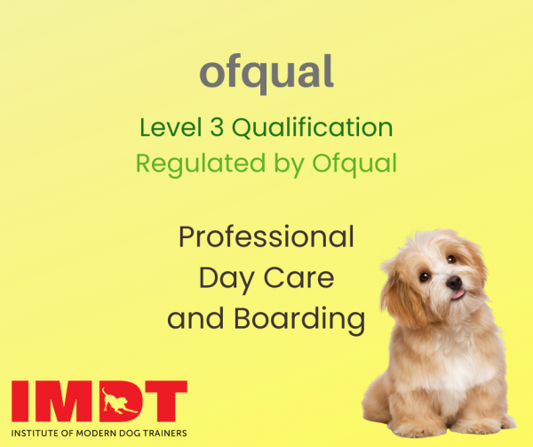 Dog Day Care and Boarding Qualification | Ofqual Regulated Level 3