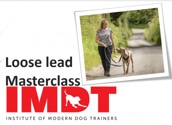 The Loose Lead Masterclass