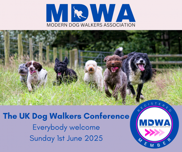 Professional Dog Walkers Conference 2025