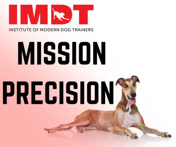 Mission Precision