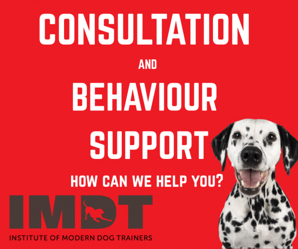 Consultation and Behaviour Support