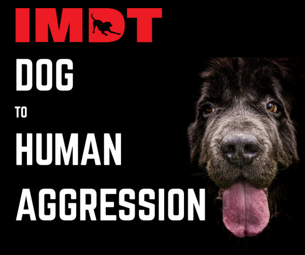 Dog To Human Aggression