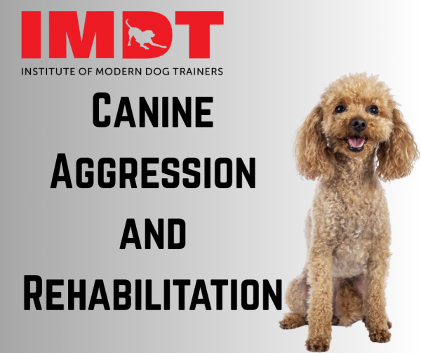 1 Day Canine Aggression and Rehabilitation
