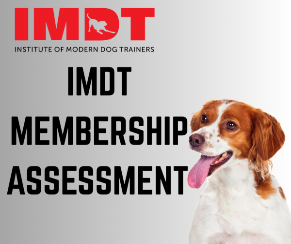 IMDT Membership Assessment