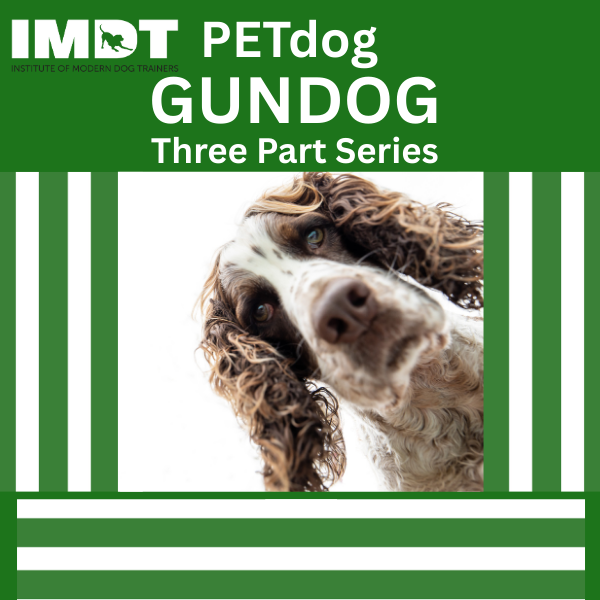 PETdog Gundog - Three Part Series