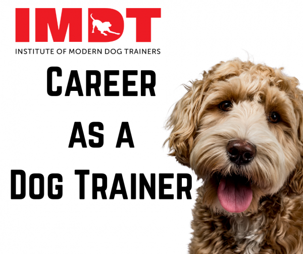 2 Day Career As A Dog Trainer Course