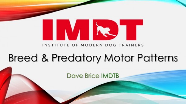 Breed and Predatory Motor Patterns