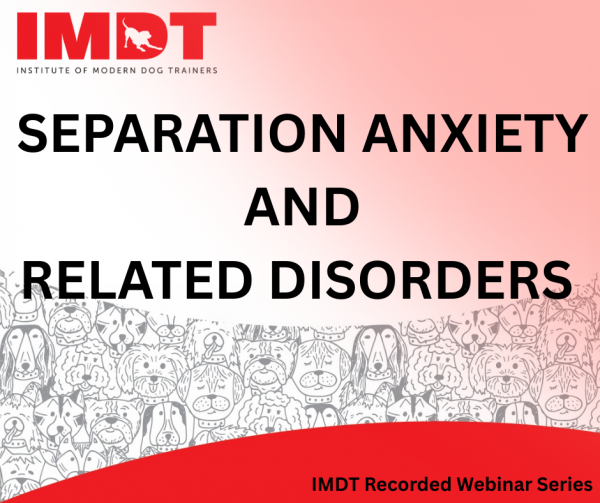 Separation Anxiety and Related Disorders Webinar
