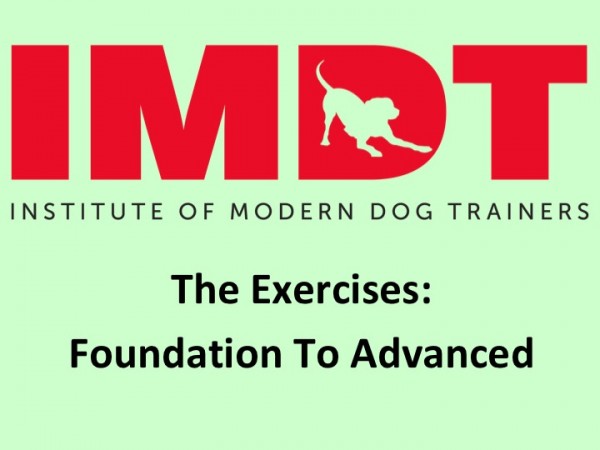 The Exercises: Foundations to Advanced
