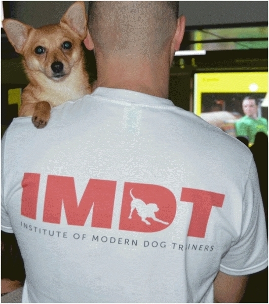 IMDT white T-Shirt