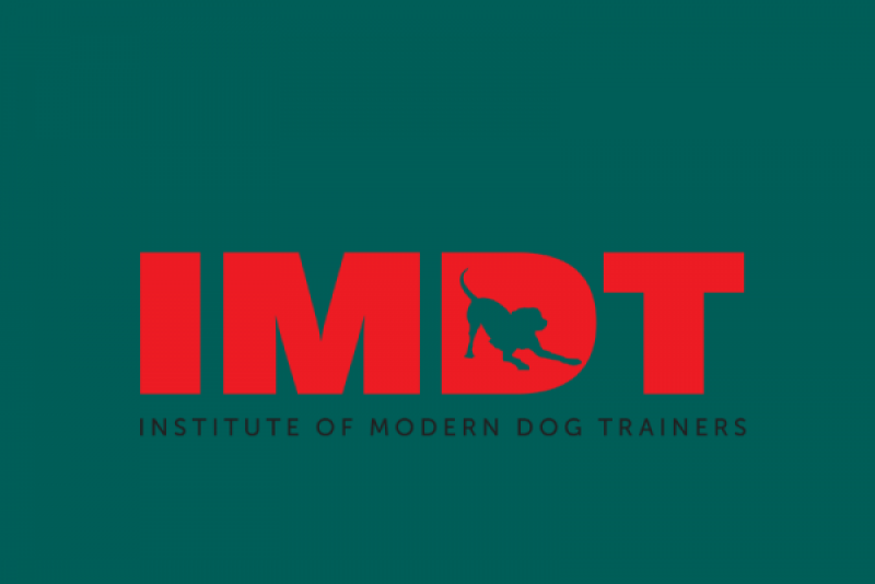 How to become a dog trainer