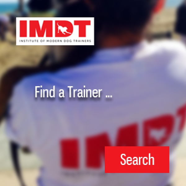 Find a Qualified IMDT Trainer